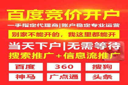 某电商平台sem竞价运营的突破与挑战